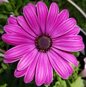 Meet your Posher, Judy